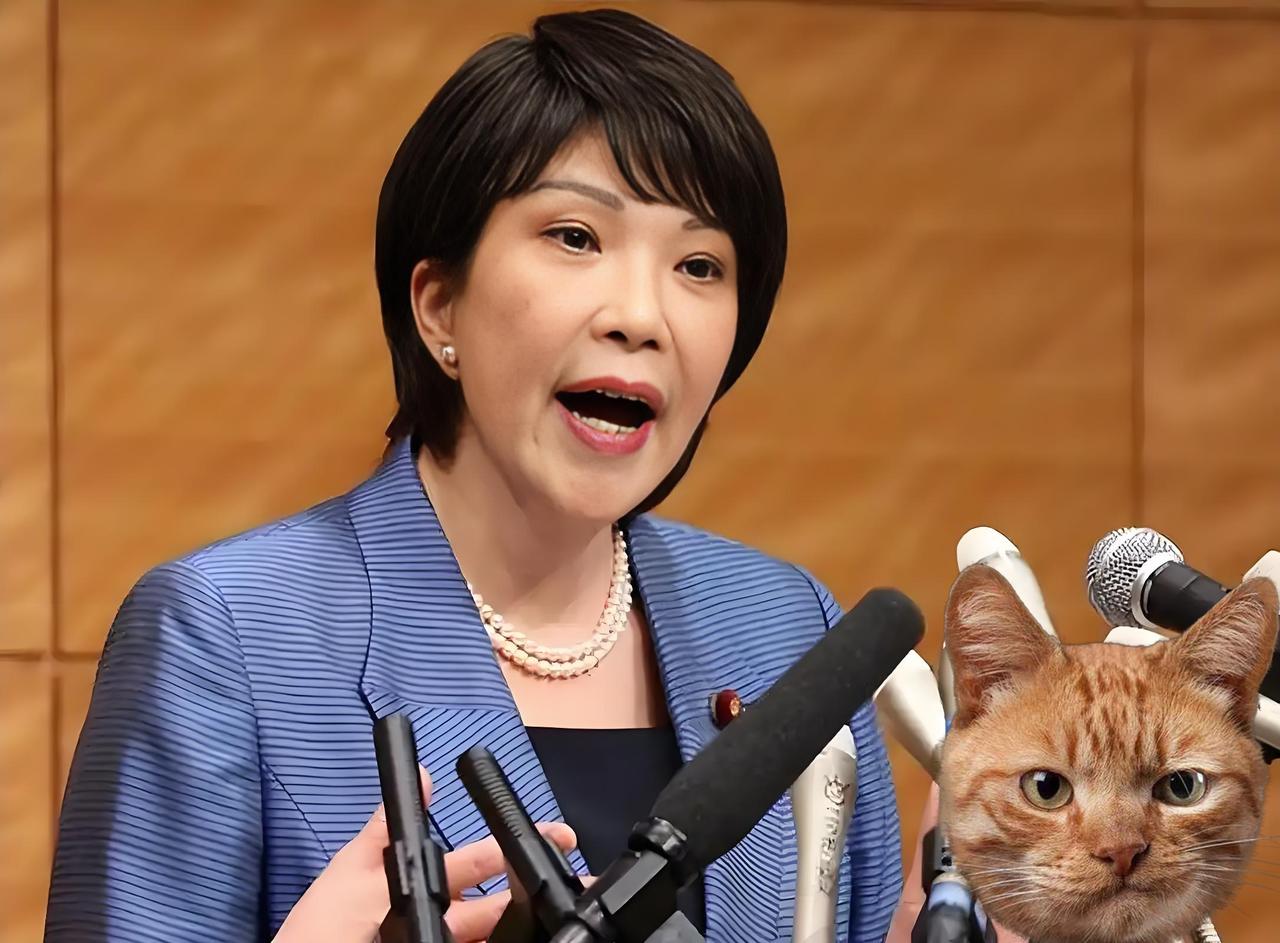 日本喊逼宫，中国没骂一句，却让日本哑口无言。日本大使突然炸毛放狠话：“侮辱等