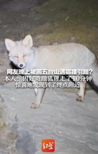 男子五台山徒步旅游，下山的时候四周一片漆黑，手机也快没电了，正当他担心找不到下山