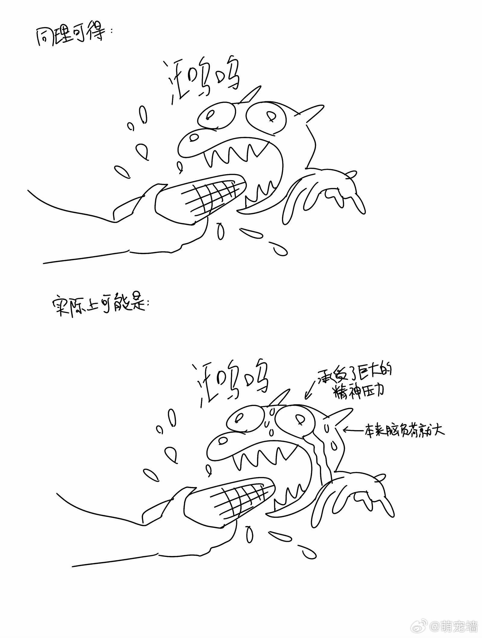 一点关于狼和狗的小科普