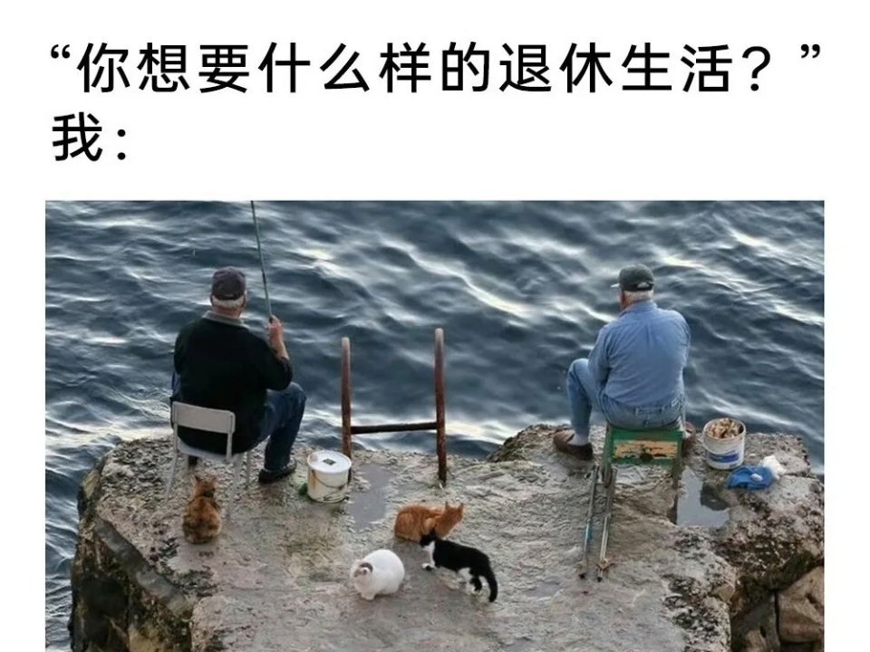 何以解忧？唯有退休meme​​​
