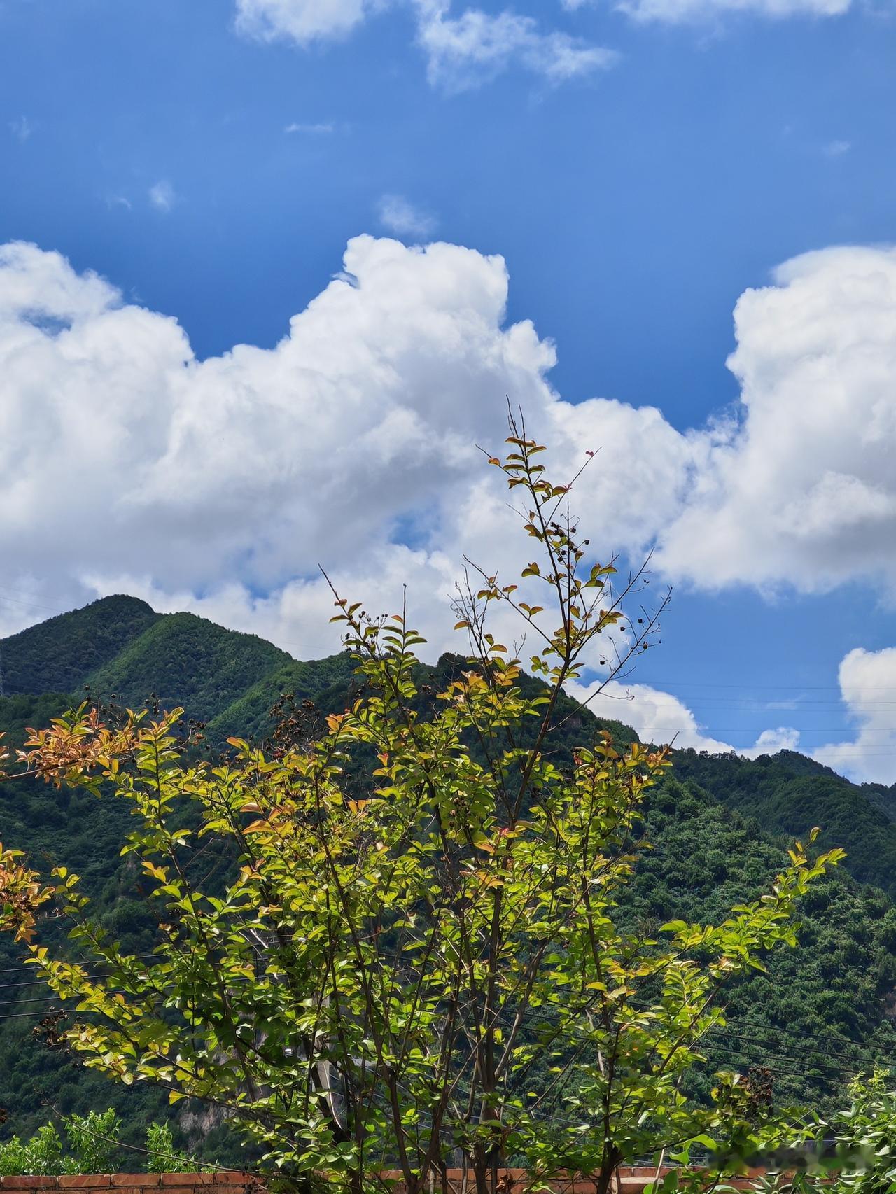 甘肃天水东部乡村老家的蓝天白云太漂亮了！7月12号雨过天晴的甘肃