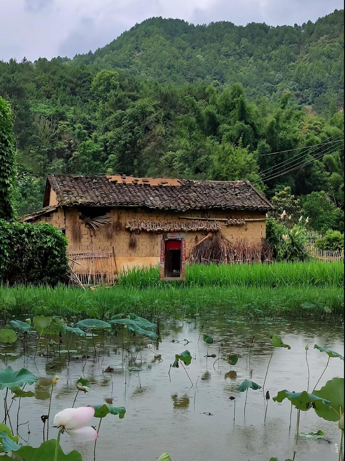 十八岁，灌醉大22岁的杭州男友，怀孕后没找他，直接敲开了他妈妈的门。西南山区出
