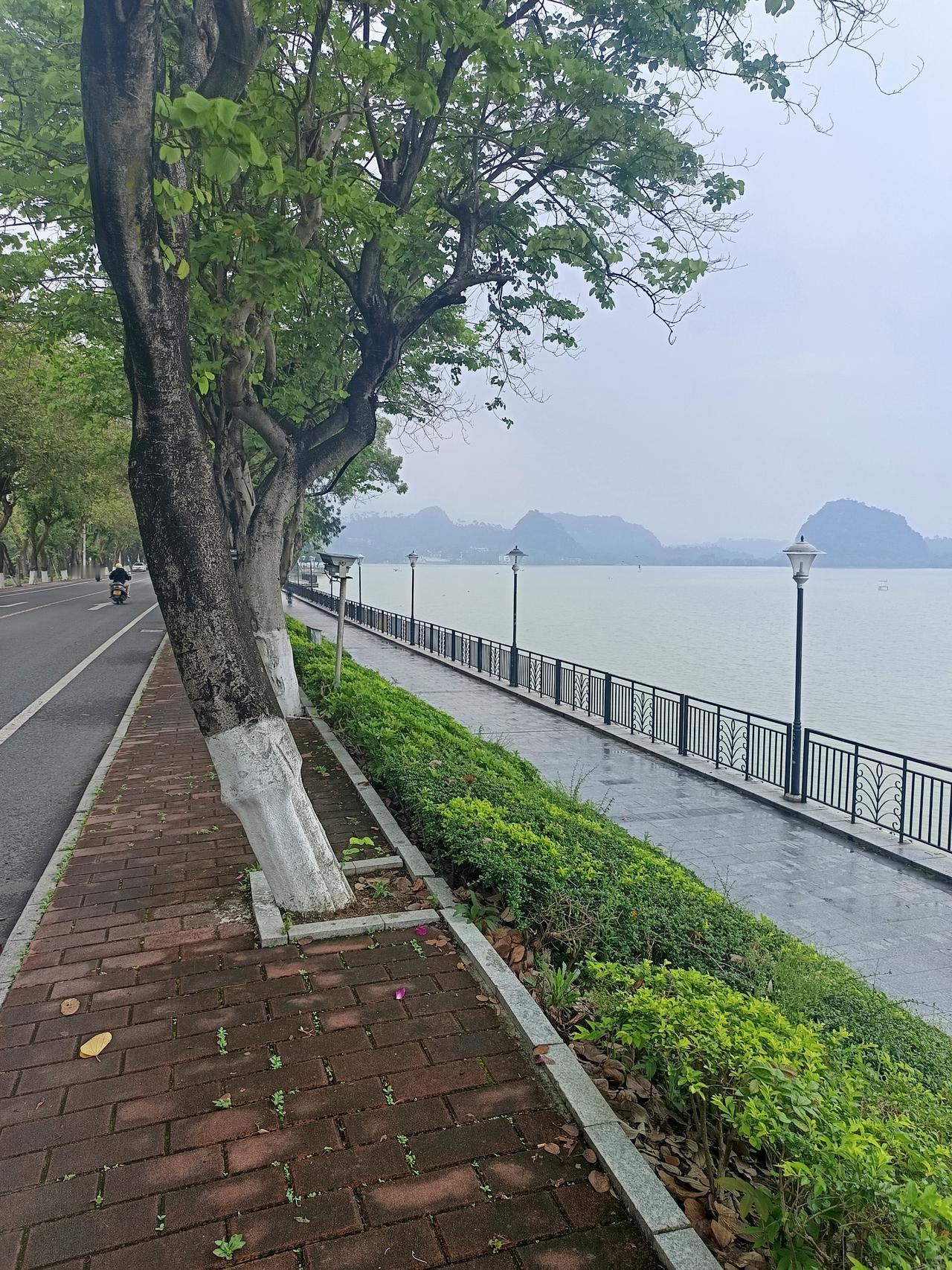 我在星湖旁边发现一个很严重的问题但不知道怎么说才好你敢相信吗？这就