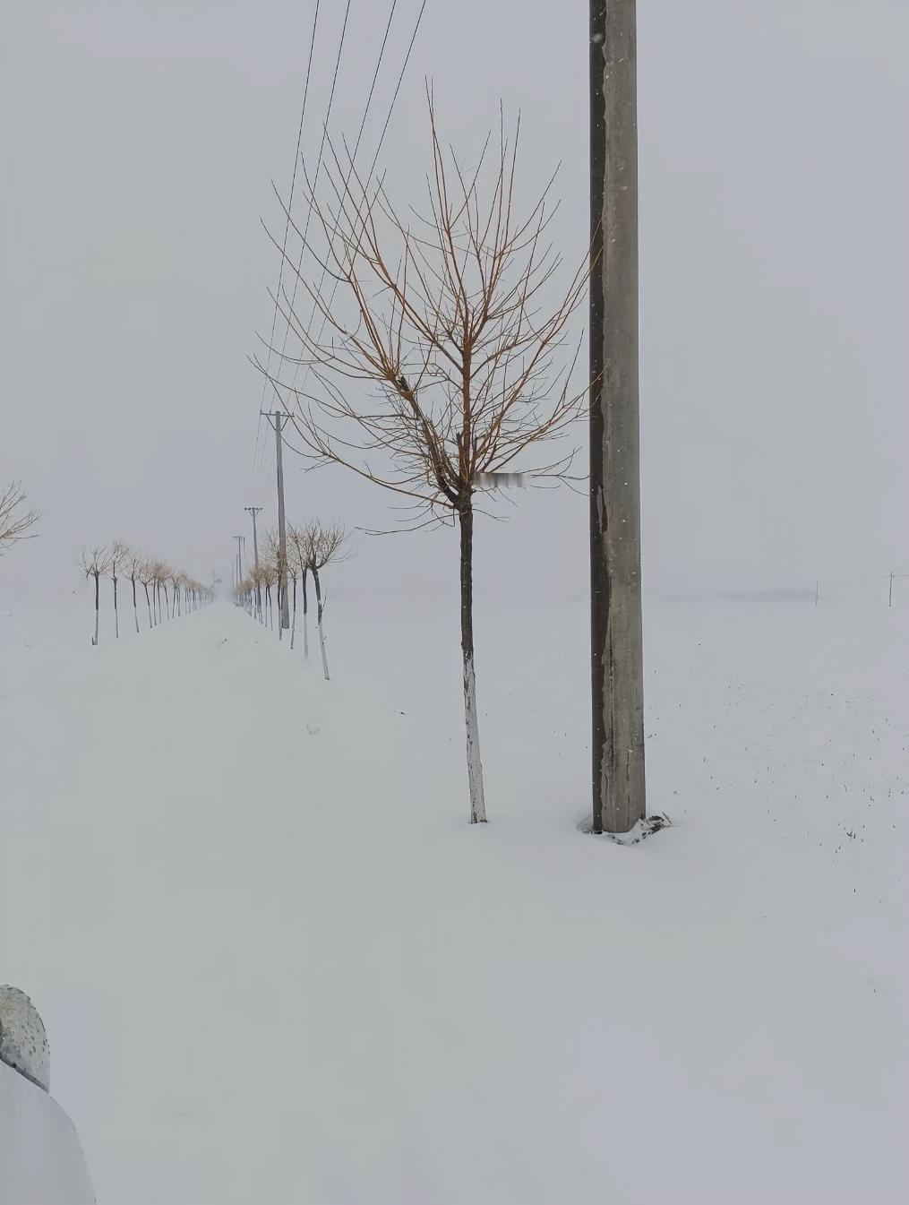老师反映怀孕6个月假期学校要求去值班，跟领导沟通无果让自己想办法。家离学校5