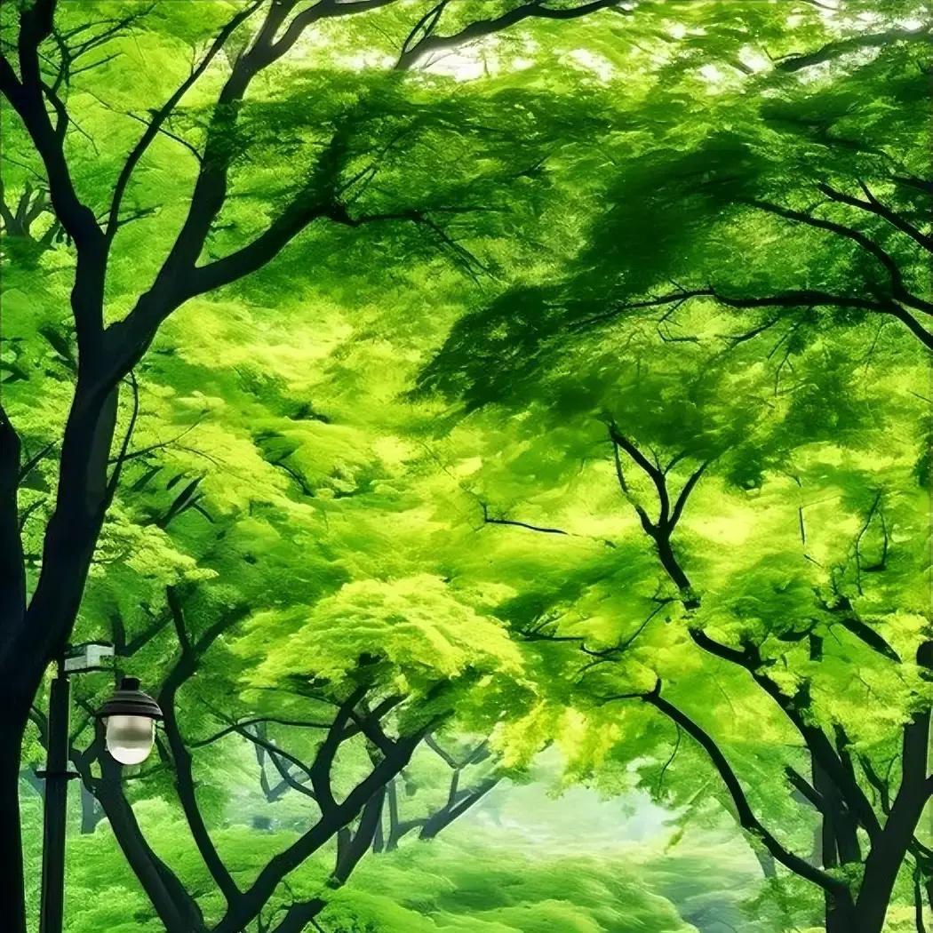 王晶最近在采访里冷不丁说了一句大实话，他说别人都能和解，唯独周星驰，真做不了朋友