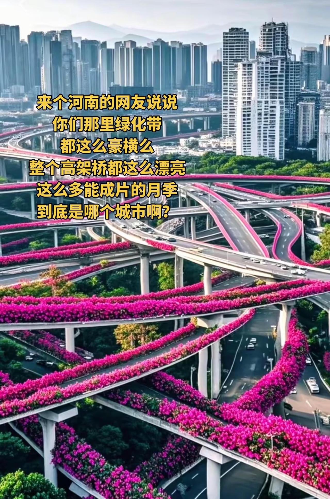河南的网友，这这到底是哪个地方啊？连高架桥的绿化带都这么豪横吗？简直挪不开眼了，