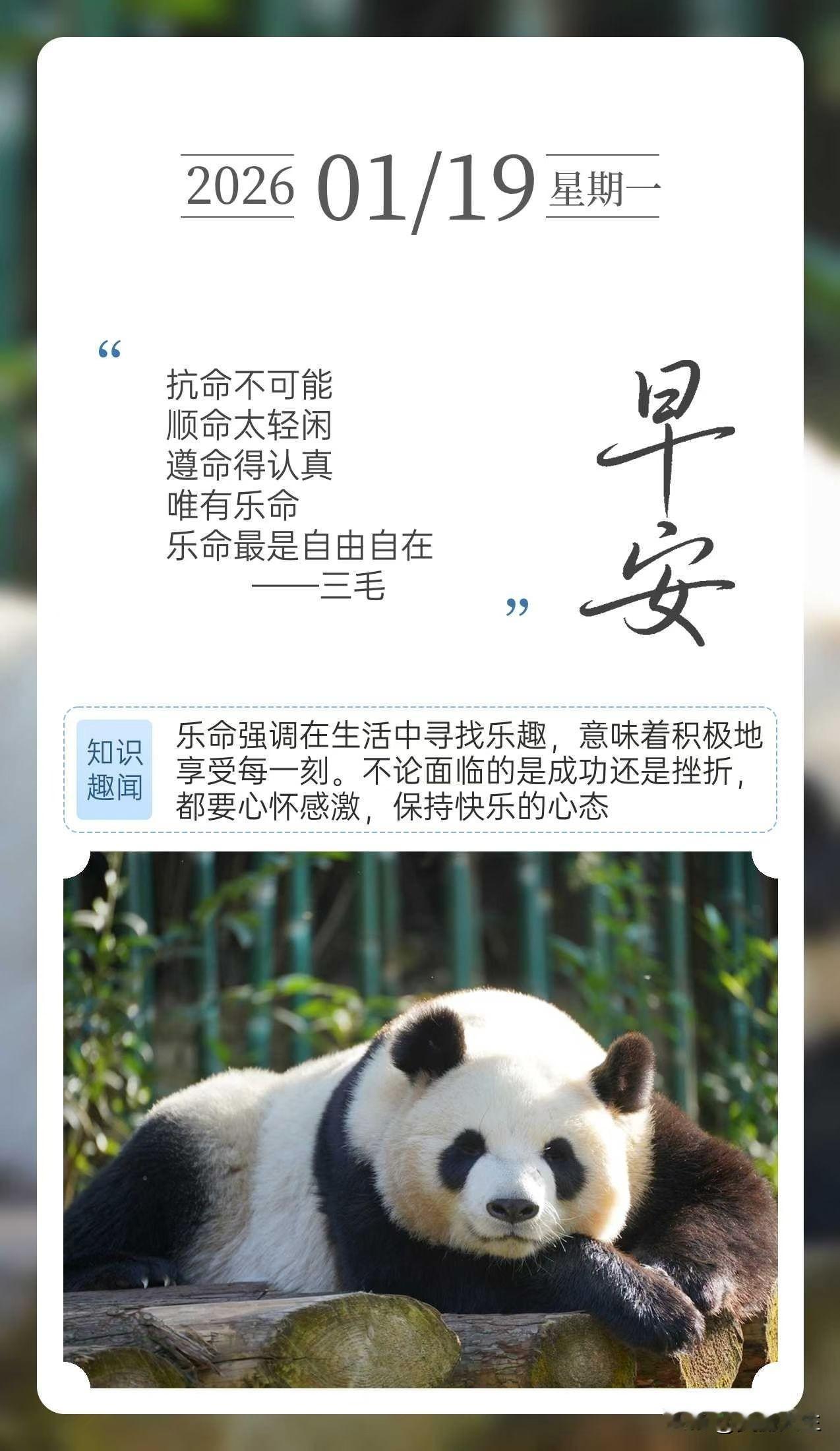 抗命不可能，顺命太轻闲遵命得认真，唯有乐命乐命最是自由自在🌞——三毛