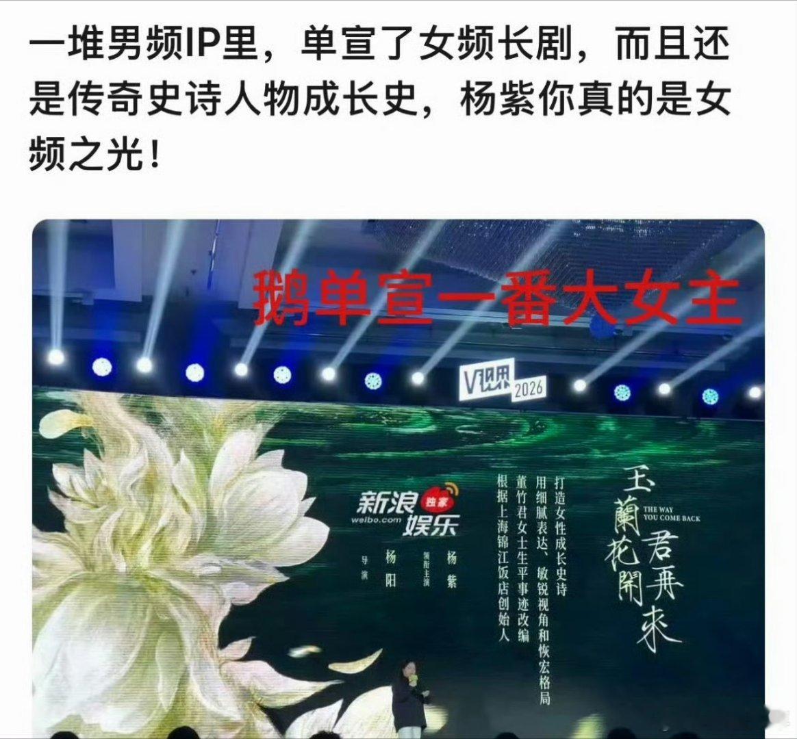 在一堆男频IP里单宣了一番大女主杨紫谁懂这种