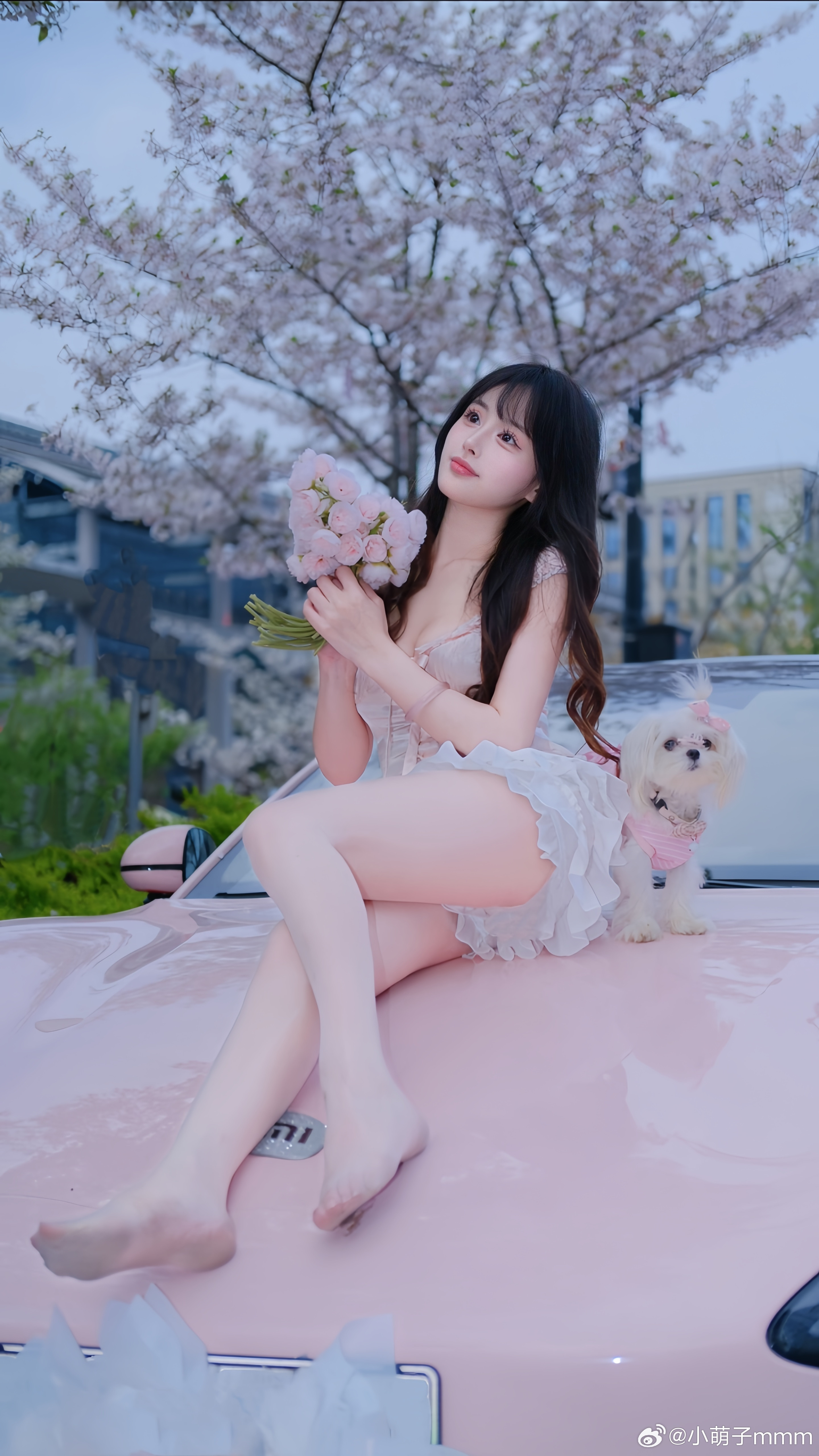 天气味道歌都是时光机🍃杭州