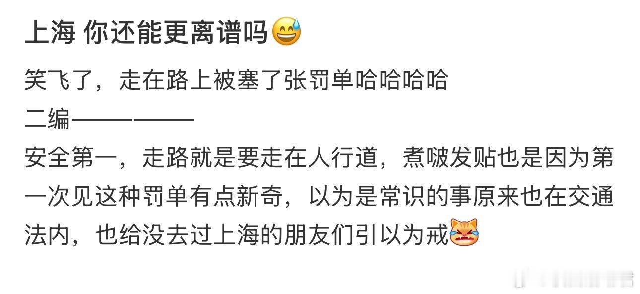 走路被开了罚单​​​