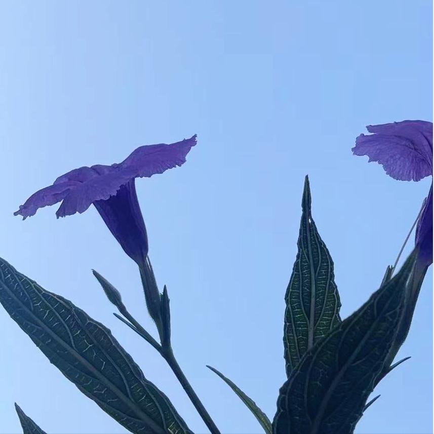 新疆：执纪审查1人 3月30日，该自治区执纪审查1人，为区上的人大系统原官员