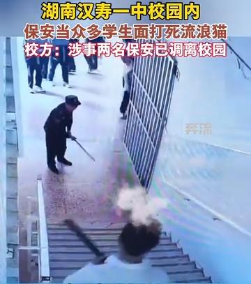 又有两名保安做了流浪猫狗的牺牲品！太寒心！保安护师生却被调岗，履行职责有错吗？