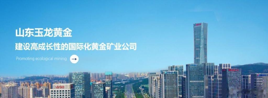玉龙股份更名为鑫升矿业, 市值巅峰期曾达201亿元