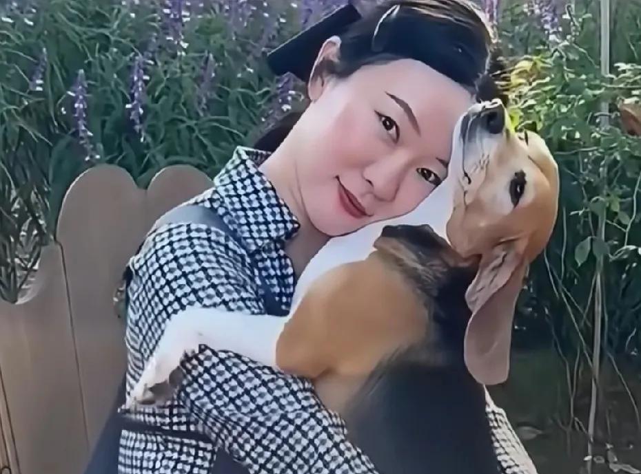 霍思燕夫妻真的很善良，是他们让我知道了比格实验犬的存在霍思燕和杜江曾经救助过一