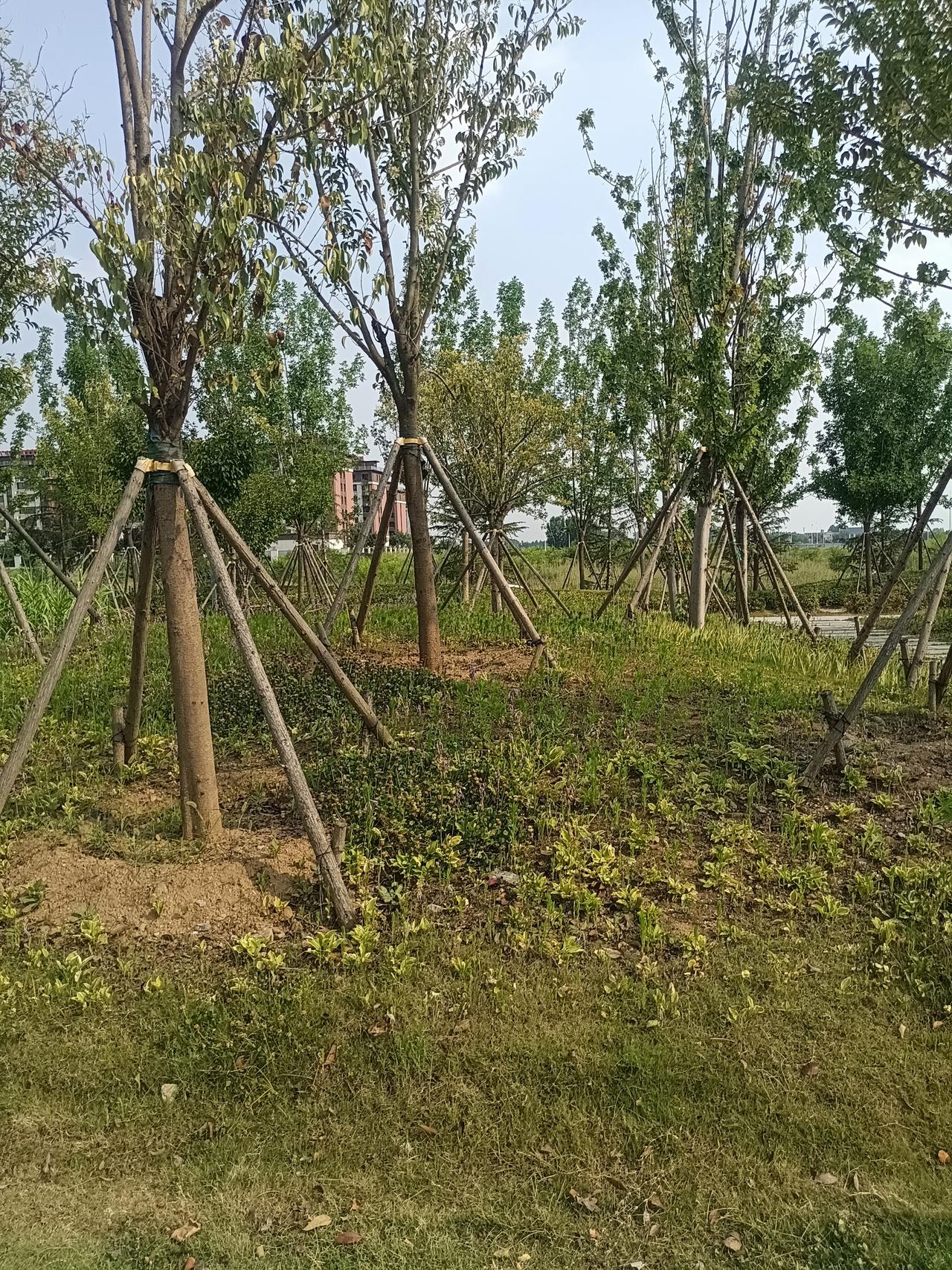 生理学家说：“男人到了中年就会发现女人其实没什么意思，男欢女爱更是自讨苦吃。该谈