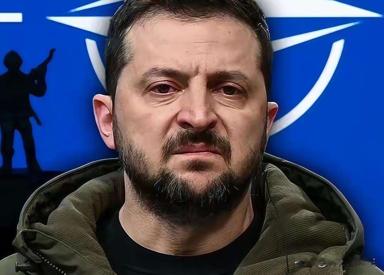 没想到乌克兰又传来消息了乌克兰总统泽连斯基在11月9日接受采访时表示，乌克兰