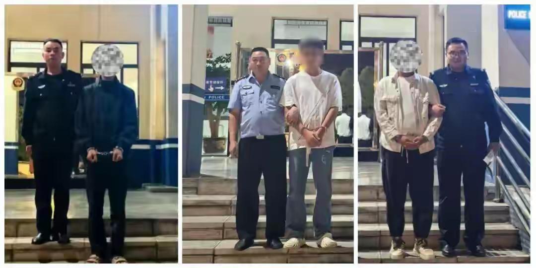 6名网逃人员在昭通落网！这个消息像一阵春风，瞬间点燃了无数人的热情与希望。或许