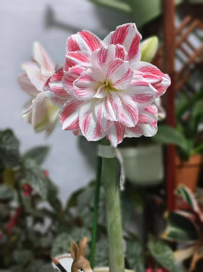 奉劝各位：不要和异性同事伴侣走得太近，小心里外不是人！我在前单位的时候，有几