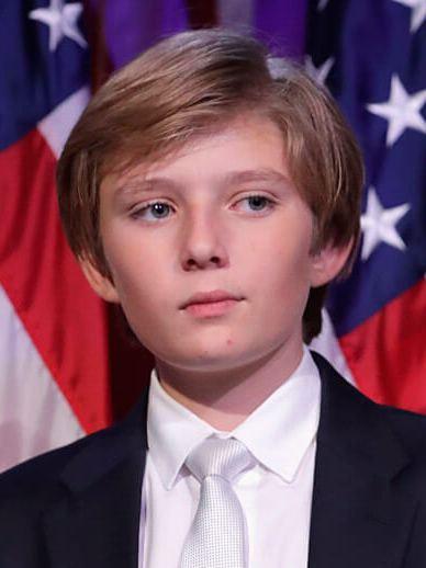 看到消息说小唐去医院了，诺是小唐出不了院，那么接替顺序是这样的，先是副手万斯，再