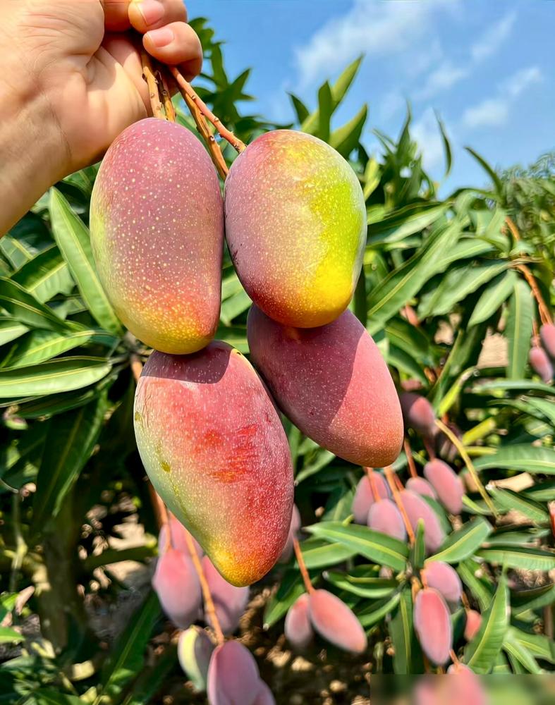 父母是孩子最好的老师。​做好这三件事就够了。​1.正直​你总教孩子别