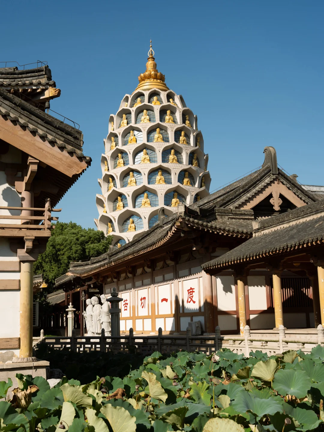 常州｜苏轼把这里当故乡，我在这里寻三天宝藏