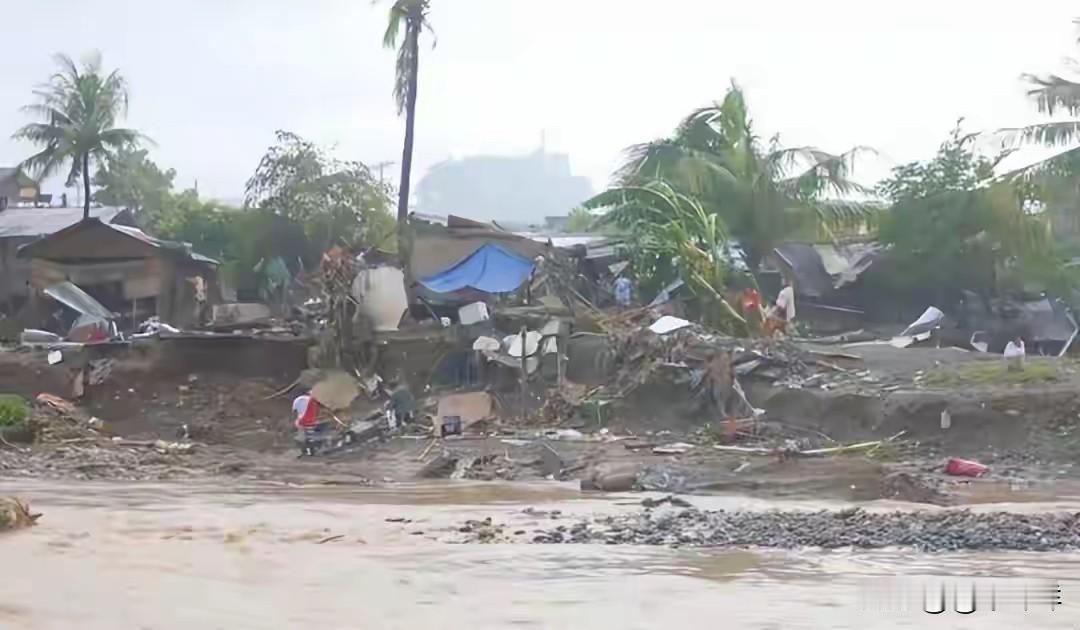 台风“海鸥”掠过菲律宾群岛已逾一周，灾后疮痍却仍在持续发酵。马科斯还是未等到