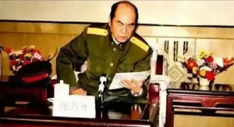 1997年，张万年从香港回来，没两天就去敲张震办公室的门。张震正在整理文件，抬头