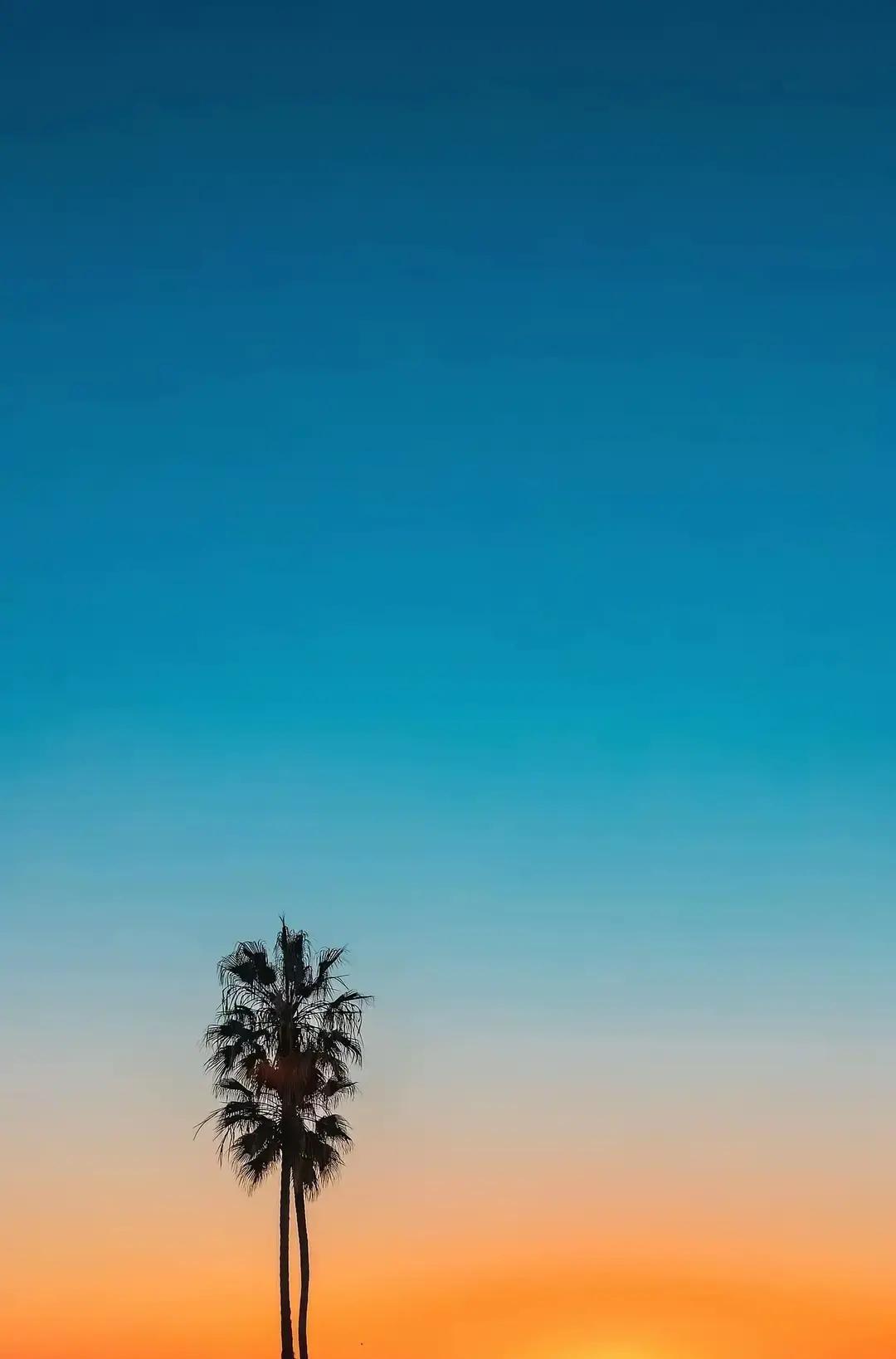 我算是看透了，父母走了以后，亲兄弟姐妹之间，最好的相处方式就是少来往前年我弟