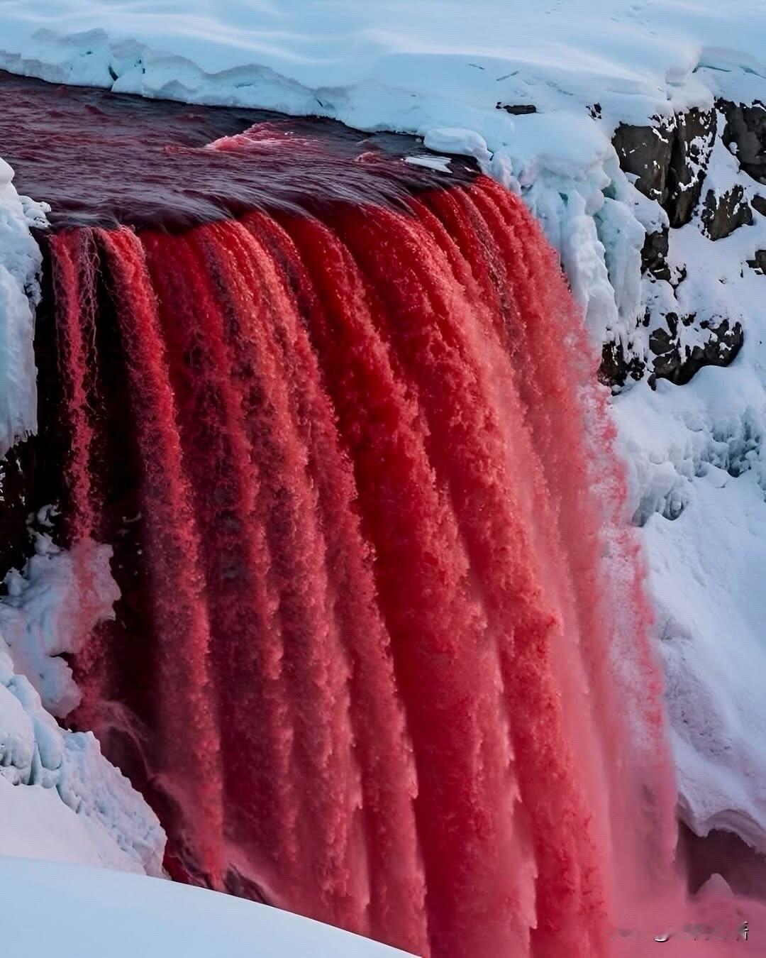 南极洲出现惊人的血瀑布！南极血瀑布太绝了！红色水流太震撼诡异又震撼的自然奇