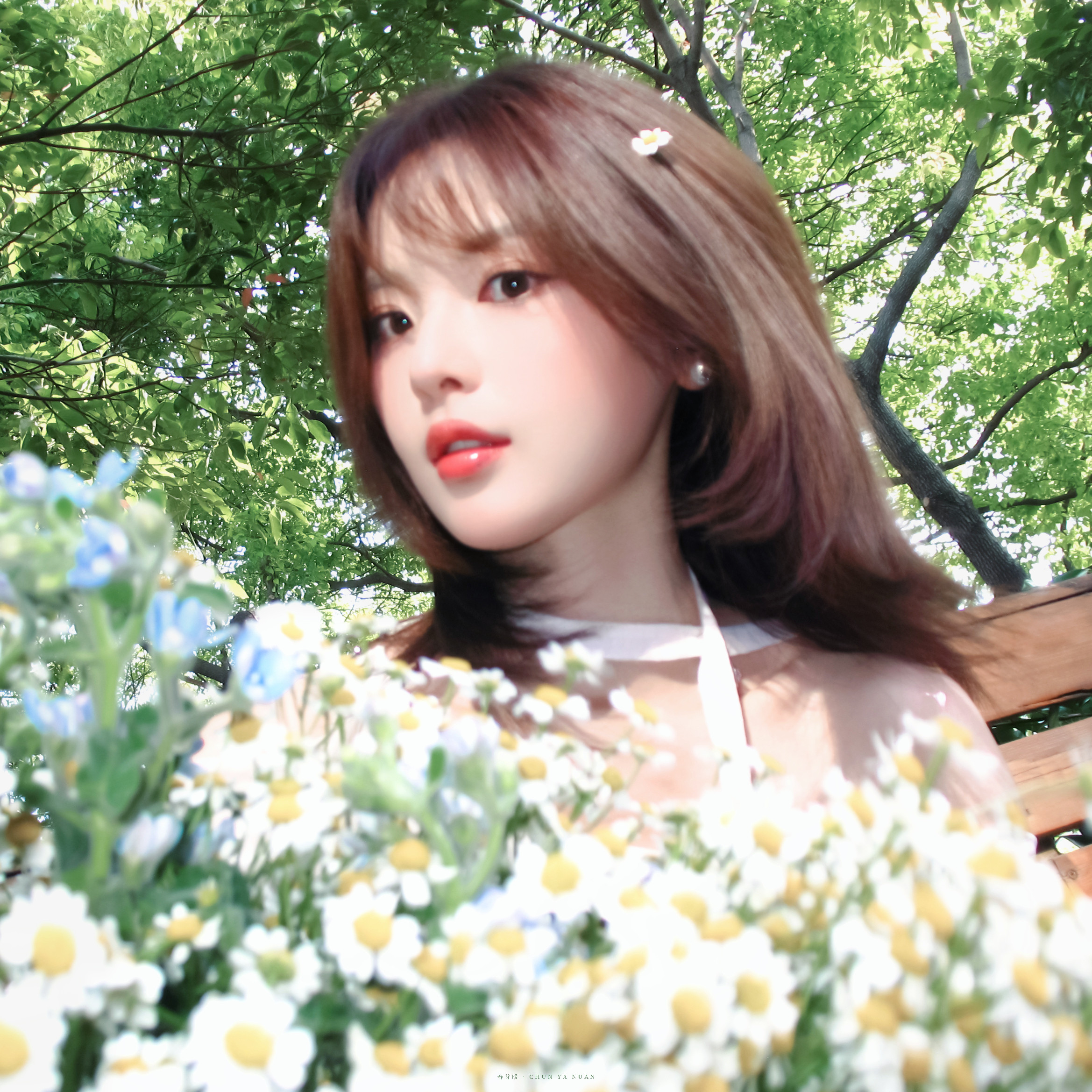 杨超越∗头像🌼捧花少女💐📖🔖