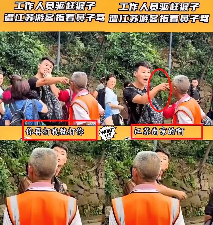 “你再打猴子，我打你！”江苏南京一男子把老人骂哭后续！身份被扒，工作毁了