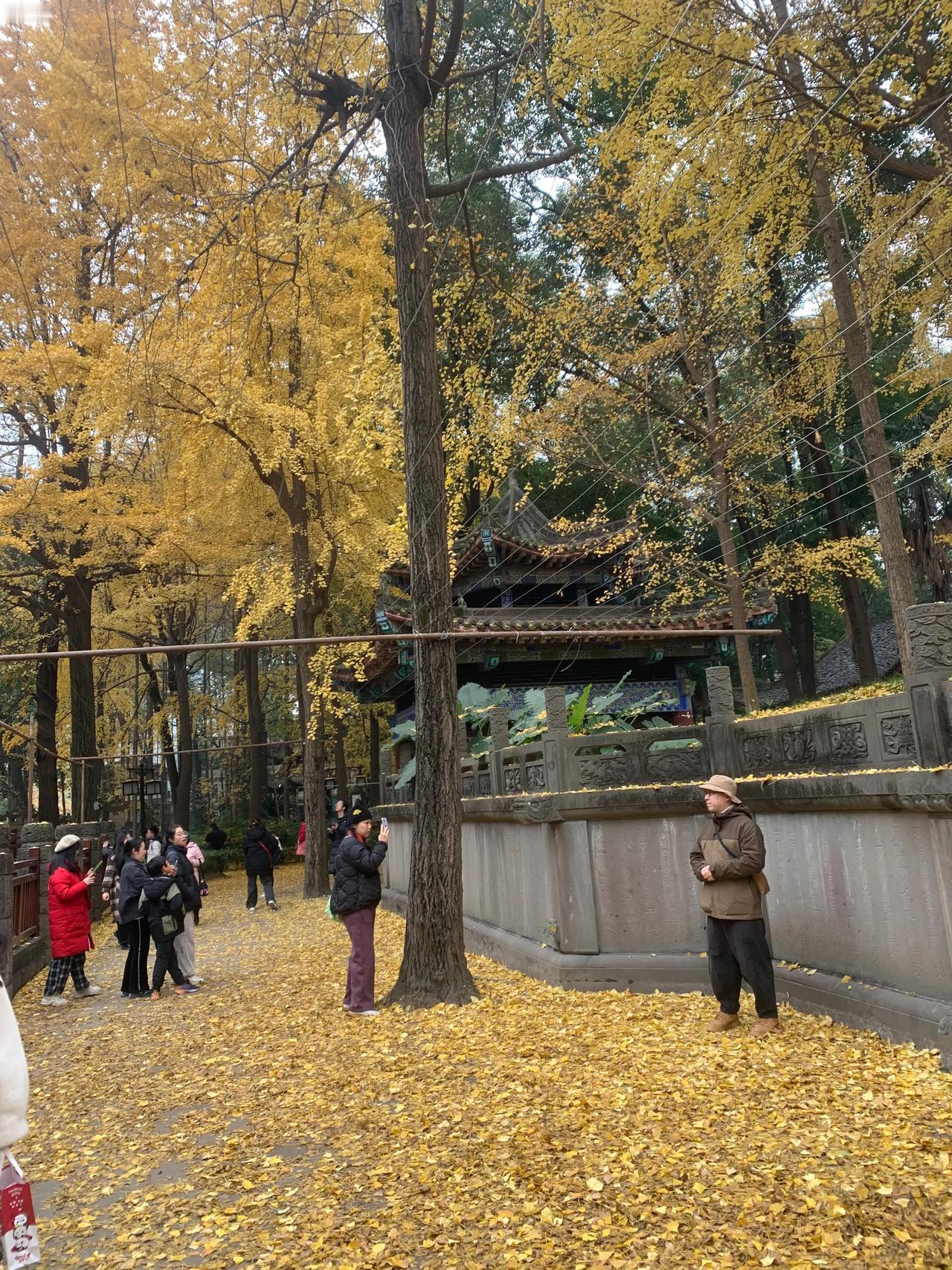 住的生态别墅，私家花园与国土一般大。