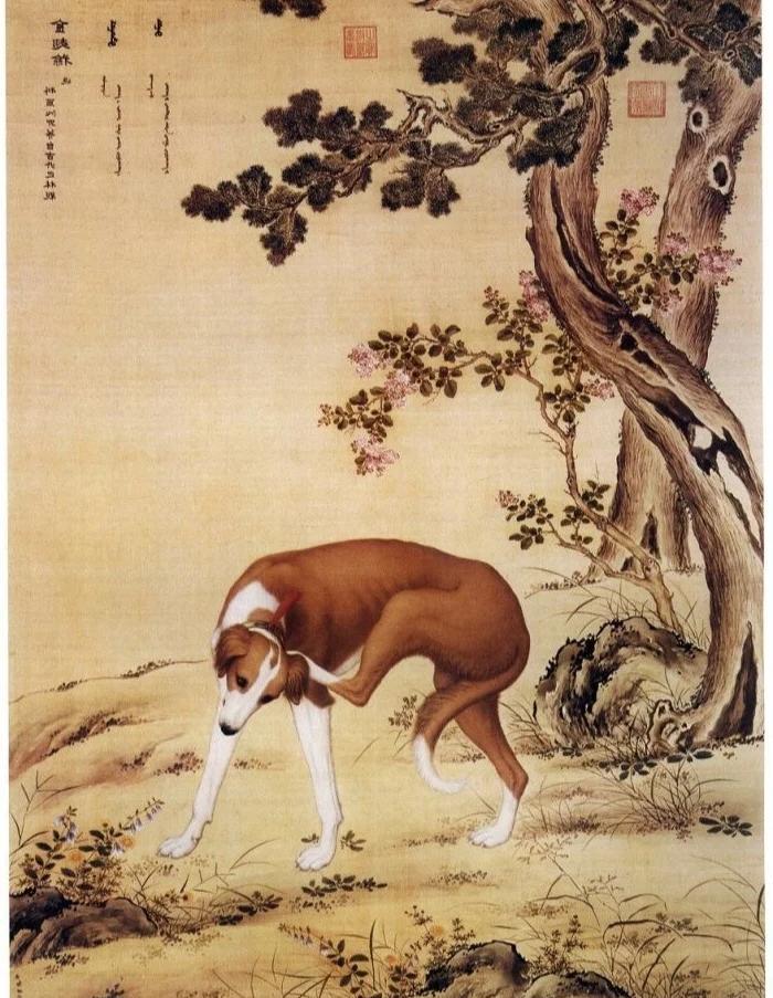 清代宫廷最有名的御用画师是谁？外国来的自然要数郎世宁，可你知道吗？他原本来中国