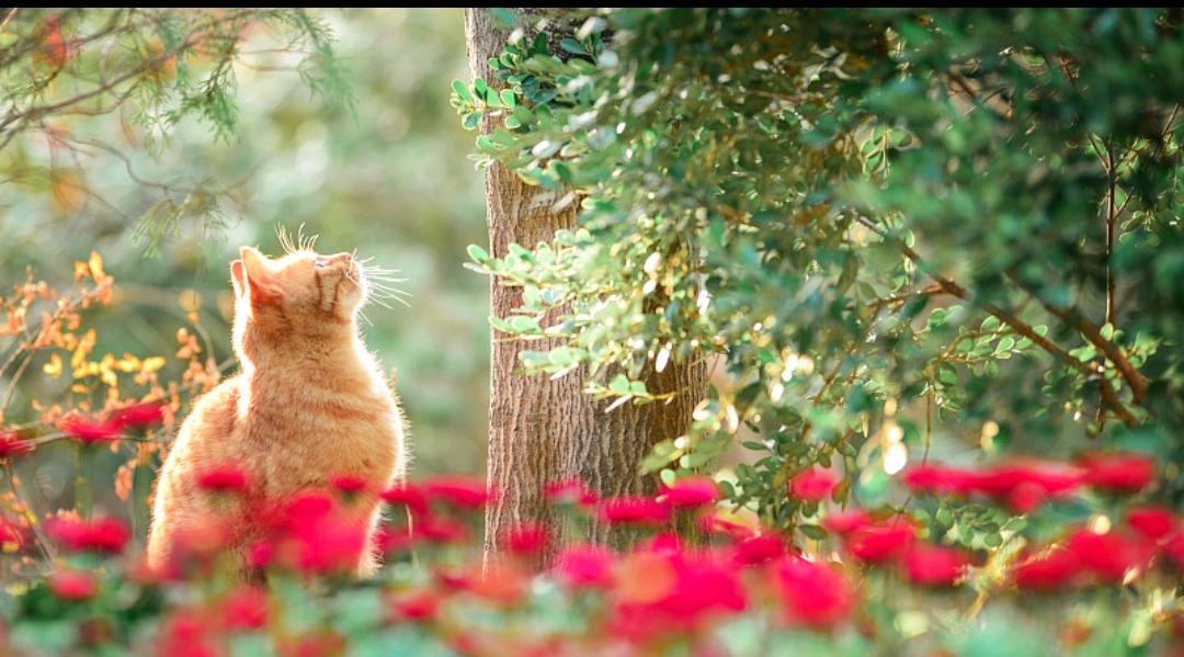 我觉得会，而且是真的会生病，不是吓唬人。经常生气、暴躁、憋火，身体是会实打