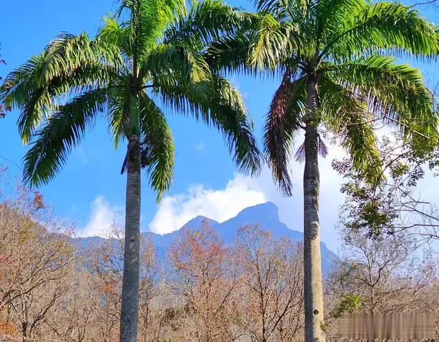 海南的五指山市, 有哪些好玩的景点?