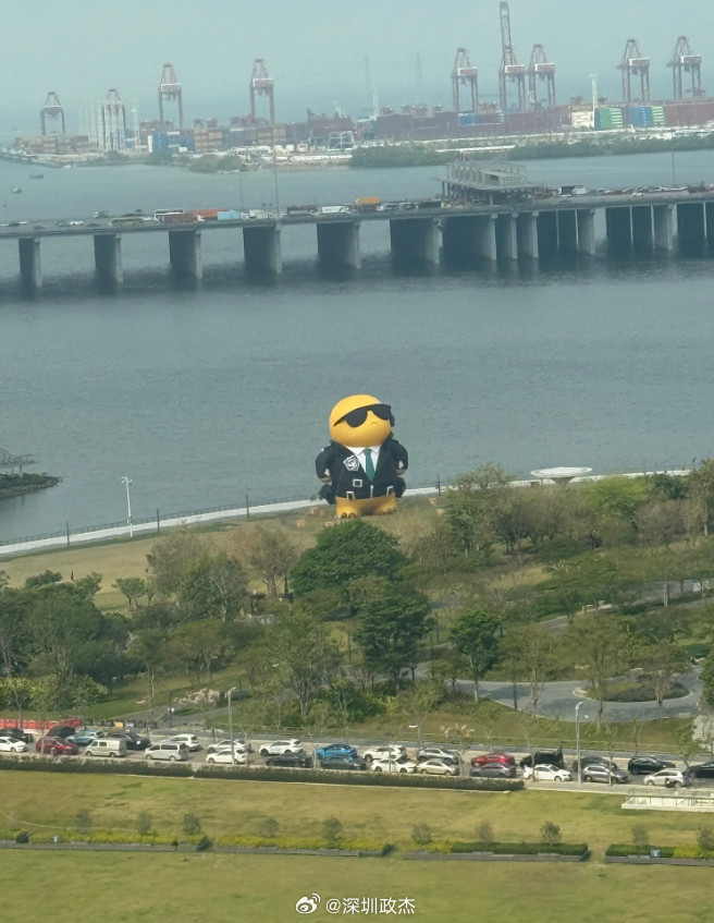前海石公园又上新了，他们说傲娇的样子，有点莫名像川普。深圳
