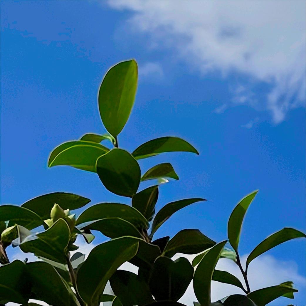 兰州原官员刘伟红的新闻  今天下午公开披露 12月26日16:00，媒体公