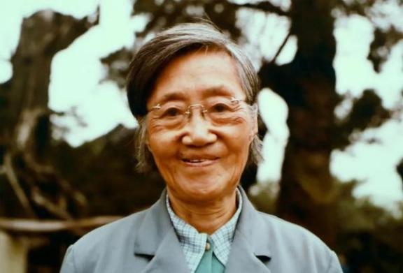 1960年，北大才女王承书狠心抛弃丈夫和孩子后不辞而别，从此失去联络。17年后，