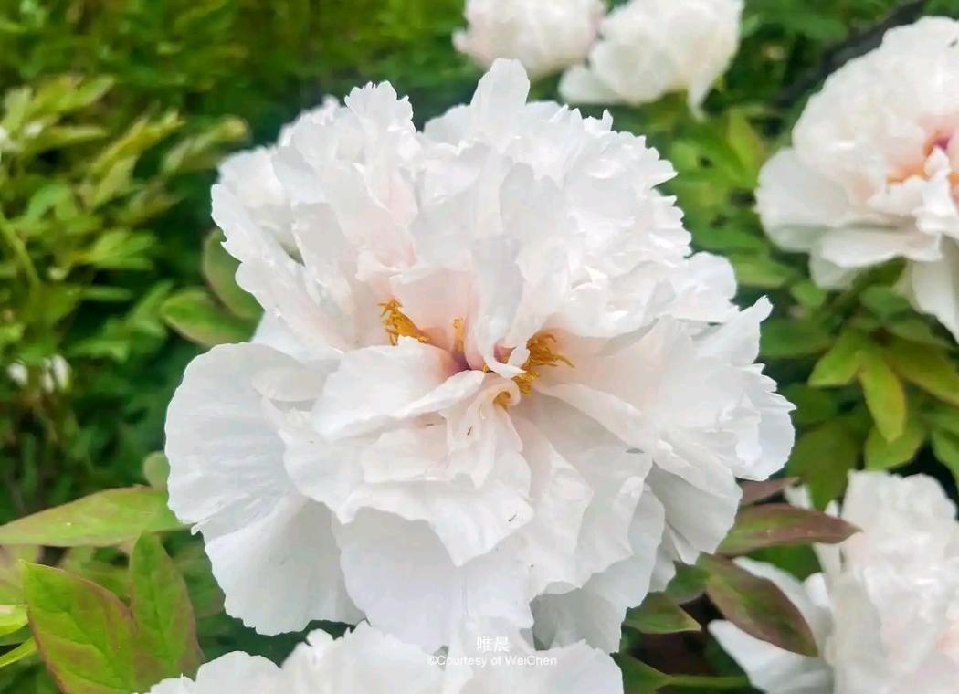 嘴甜不等于善良，会说话不等于可靠。人际交往里，最危险的不是公开敌意，而是披着温情