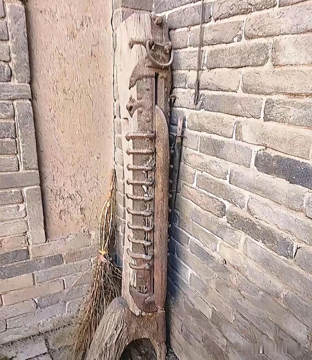 我是农村长大的，没见过这是什么。