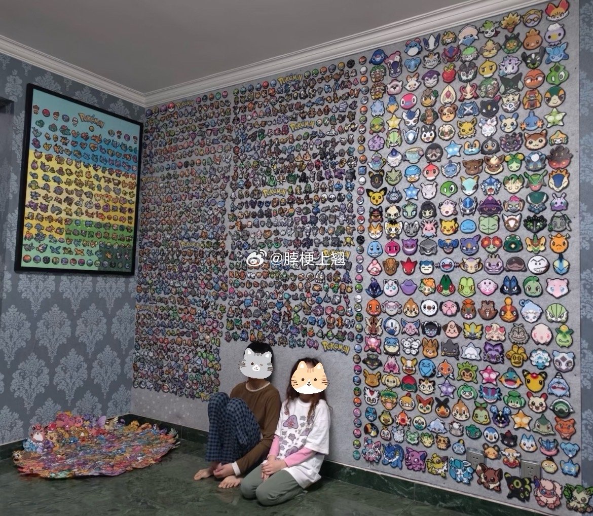 做全网第一个！！！努力做全网第一个拥有九代宝可梦图鉴拼豆的超级玩家，改装了一面墙