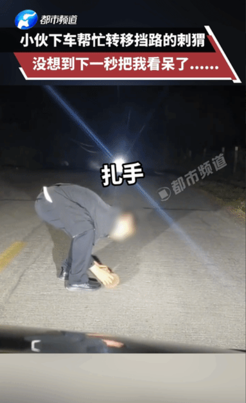 “反应过于真实”！黑龙江，男子开车接儿子回家，路上看到一只小刺猬，男子爱心泛滥，