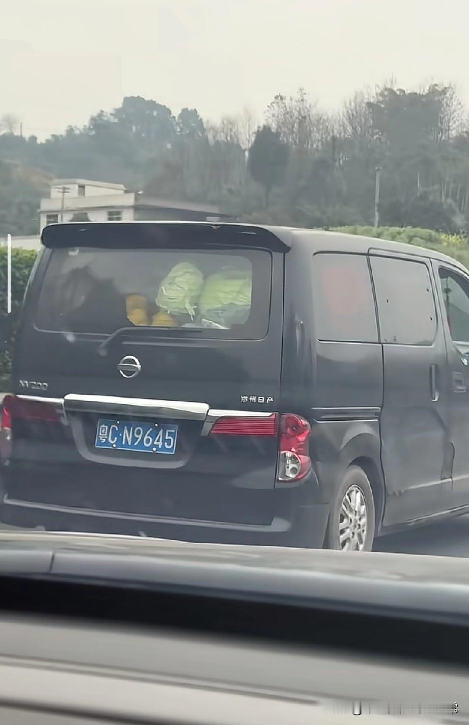 第一次见2000公里带大白菜去广东的今天在高速上看到一辆粤C牌照的面包车，