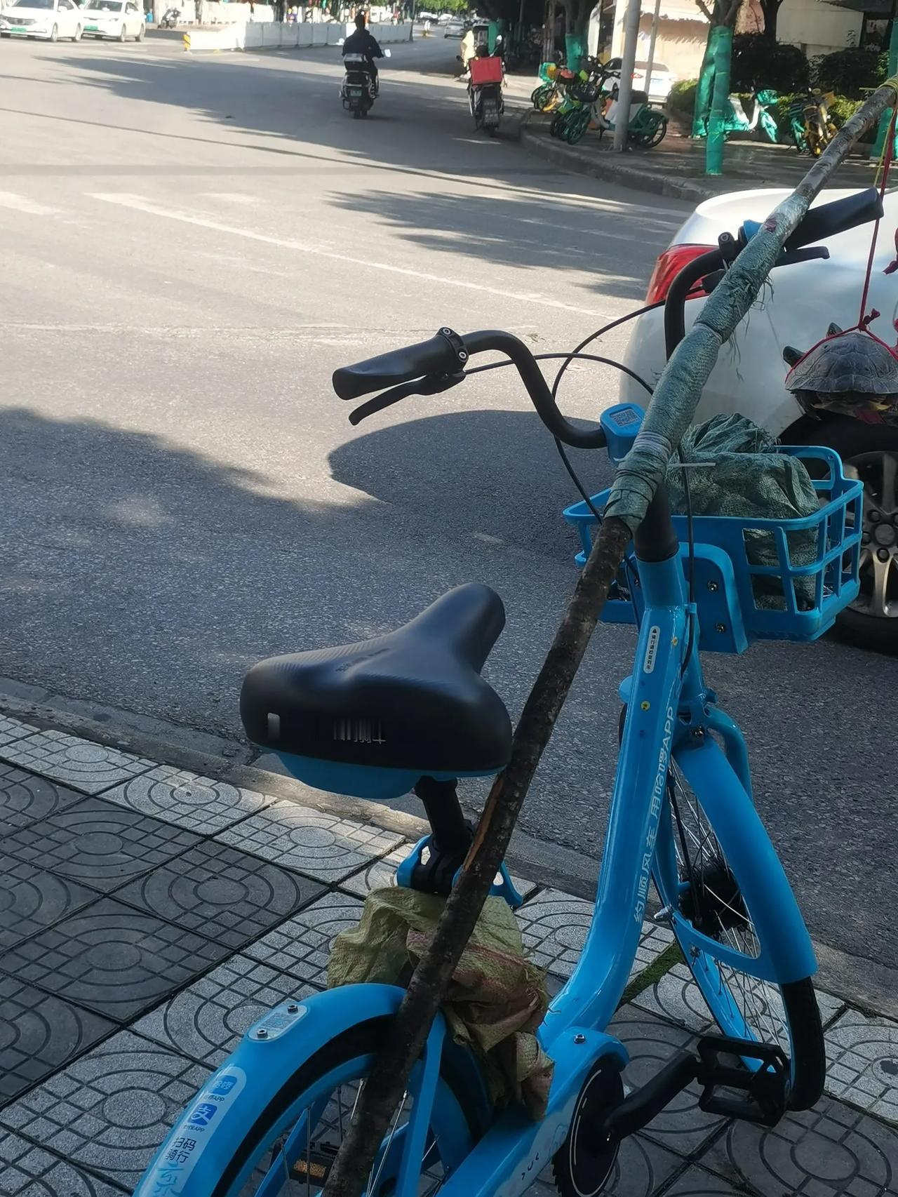 在昆明的一街头见到的这个卖的人说是野生的要600一只大的，小的一只400，