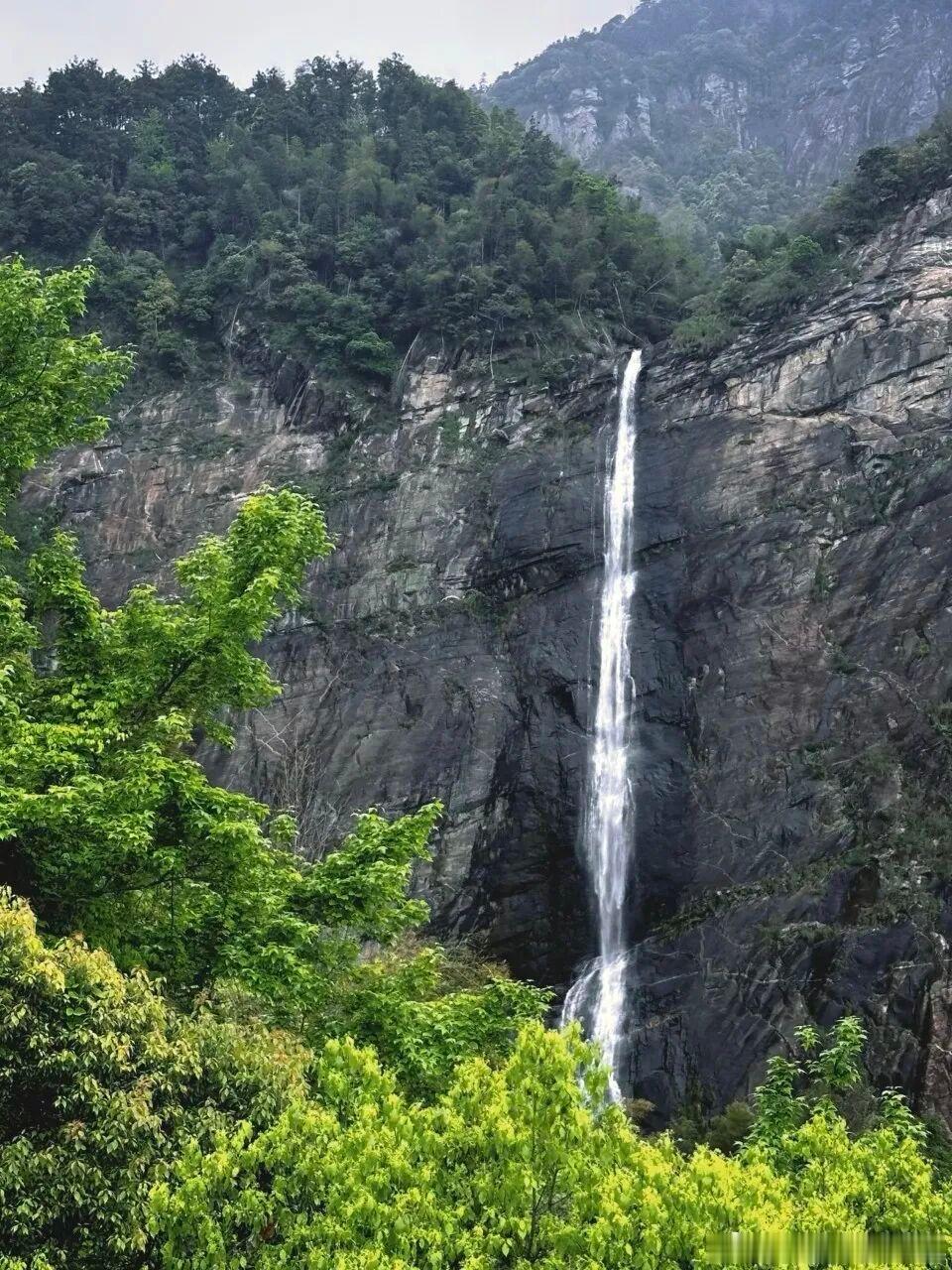不想忍受盛夏蒸笼感，一定要来庐山牯岭躺平。千米高地清风不断，白天逛花径仙人洞，傍