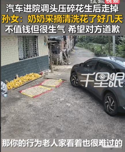 丢人丢到家了！广西桂林，一辆不知从哪来的私家车，大摇大摆开进了女子家的院坝里掉头