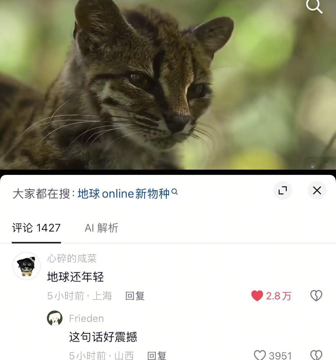 地球online策划终于上新了​​​