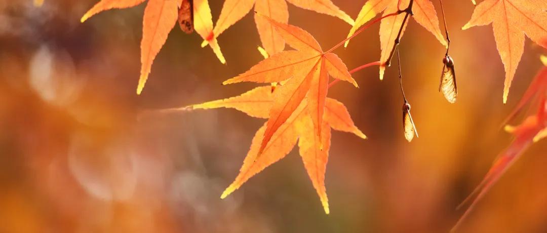 女人有了下面十个习惯，说明你老了：1、开始不吃雪糕，不喝饮料了；2、夏天不喜