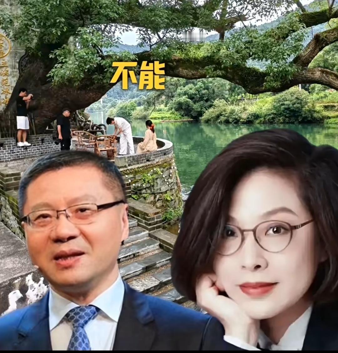 北大张丹丹，复旦张维为网友把他们并称为国内高校智库的“卧龙凤雏”。这两人都