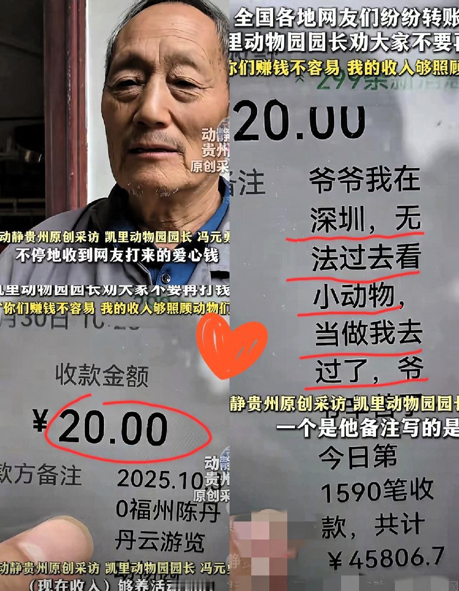 “彻底解释不清了!”凯里70岁的冯园长最近头都大了,手机响个不停全是收款提示